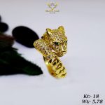 126095340_2461521530808527_5455553382226561545_n (1)