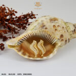 273558014_2746998318927512_6516224804718320240_n